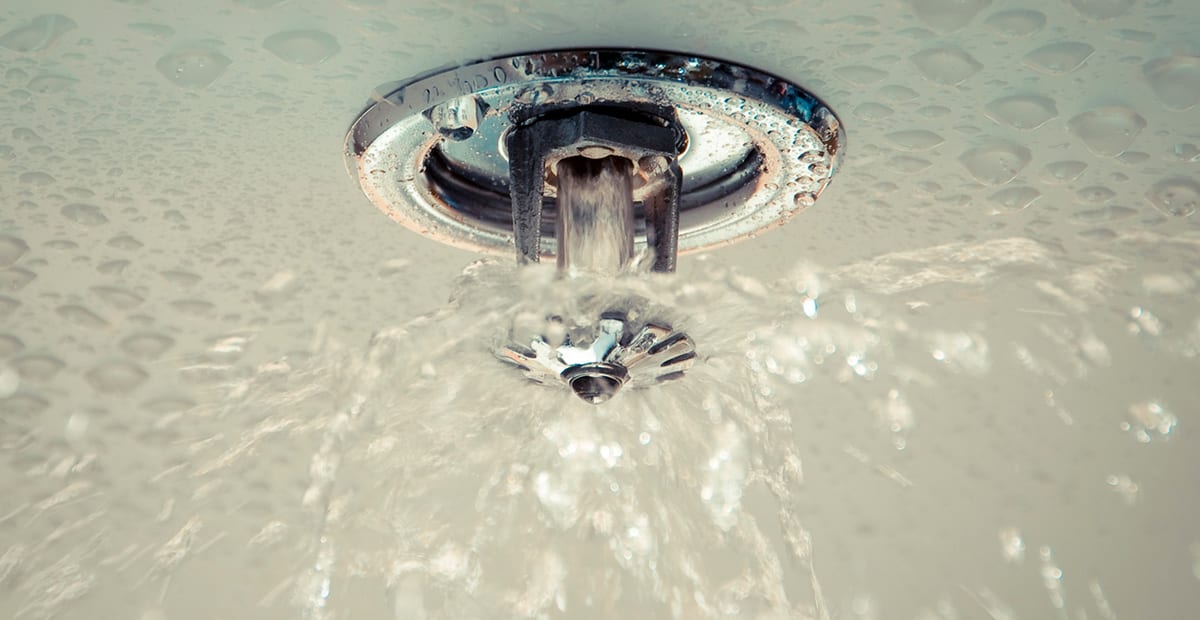 How to Choose Between a Wet or Dry Commercial Sprinkler System Total