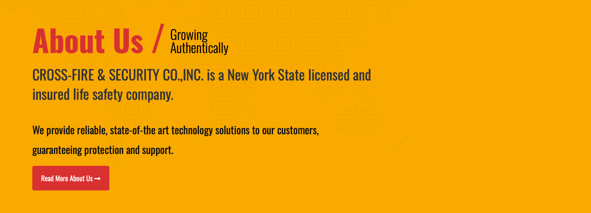Cross-Fire & Security Co.